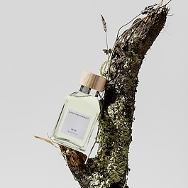 Agua Fresca - Eau de Toilette